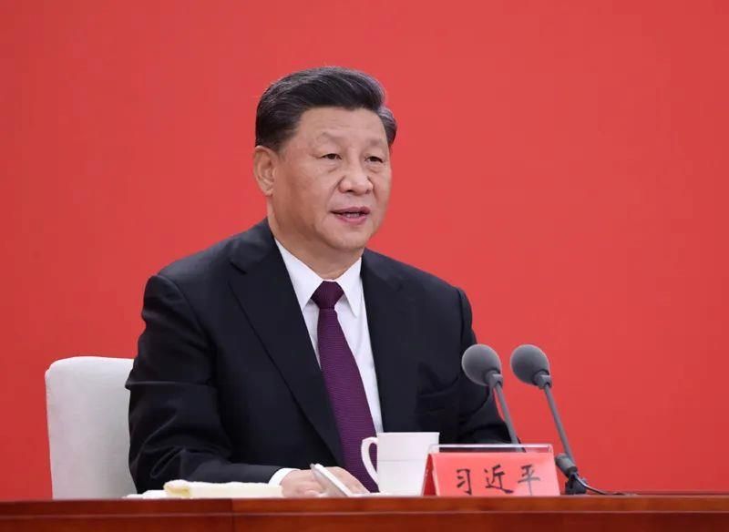 一棵樹、一塊石、一個(gè)村，從總書記的深圳足跡看改革