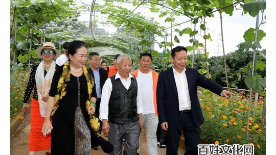 第一夫人集團“健康銀行”科技康養項目落地海南瓊海