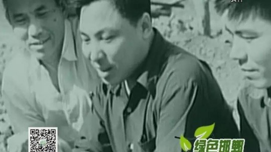 武安磁山二街：以改革創新引領鄉村振興