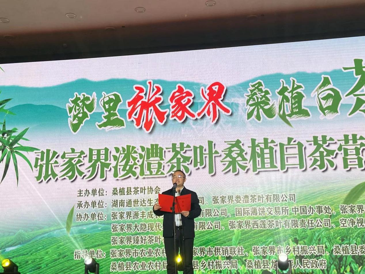 夢里張家界 桑植白茶醇 桑植白茶營銷招商大會圓滿舉行 夢里張家界 桑植白茶醇 桑植白茶營銷招商大會圓滿舉行