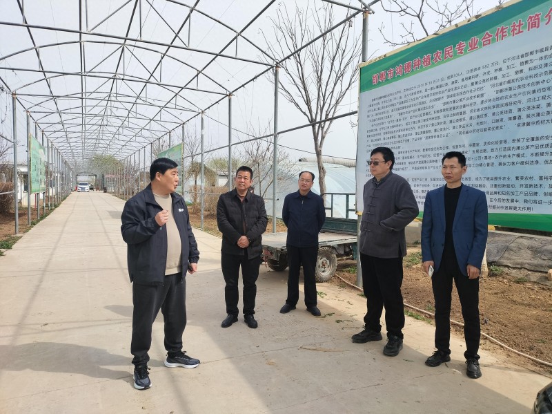 中媒企業文化發展工作委員會一行到河北蒲公英產業基地調研