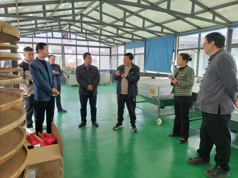 中媒企業文化發展工作委員會一行到河北蒲公英產業基地調研