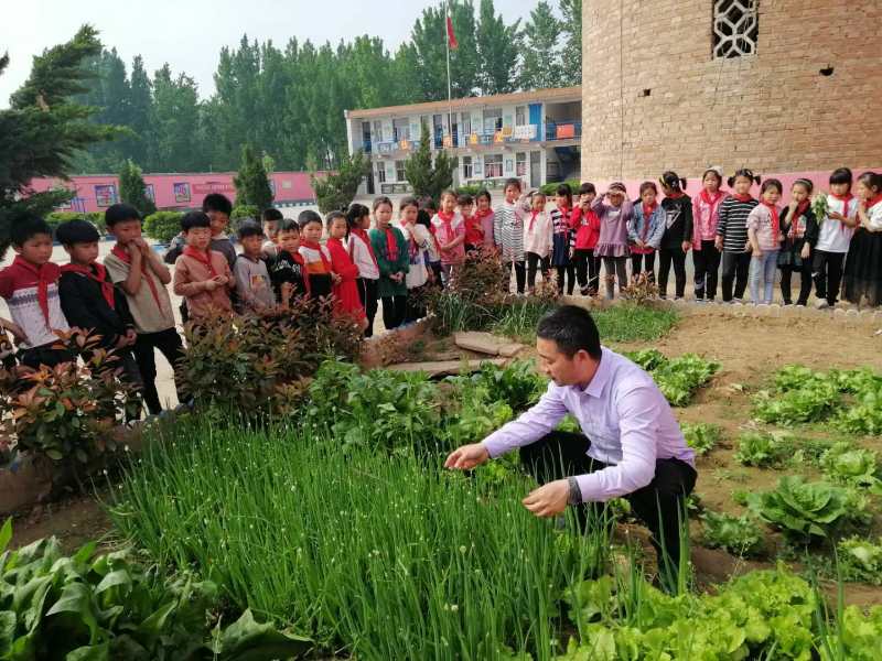 扎根農村教育 奉獻無悔青春 ——記安陽縣呂村鎮前馮宿小學校長劉洪吉