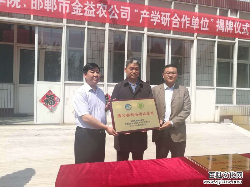 磁縣“蒲公英產學研基地”、“蒲公英制品研發基地” 正式掛牌成立