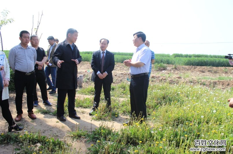 磁縣“蒲公英產學研基地”、“蒲公英制品研發基地” 正式掛牌成立