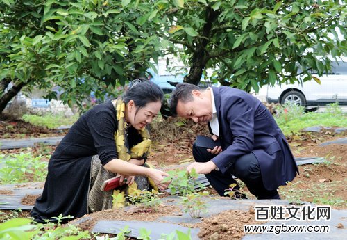 第一夫人集團“健康銀行”科技康養項目落地海南瓊海