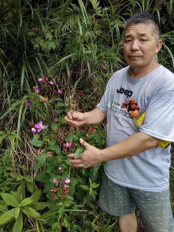 高級反射蜂療專家范景良 高級反射蜂療專家范景良