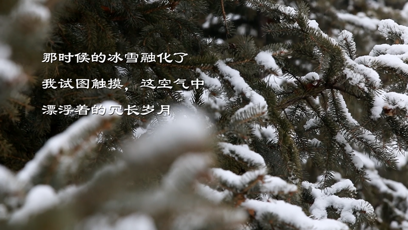 眾志成城抗疫情 文藝戰線在行動(九)著名作家蔡蘭茹