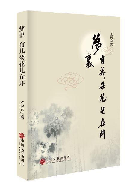 王興舟《夢里 有幾朵花兒在開》:告訴你散文最寶貴的品質是什么