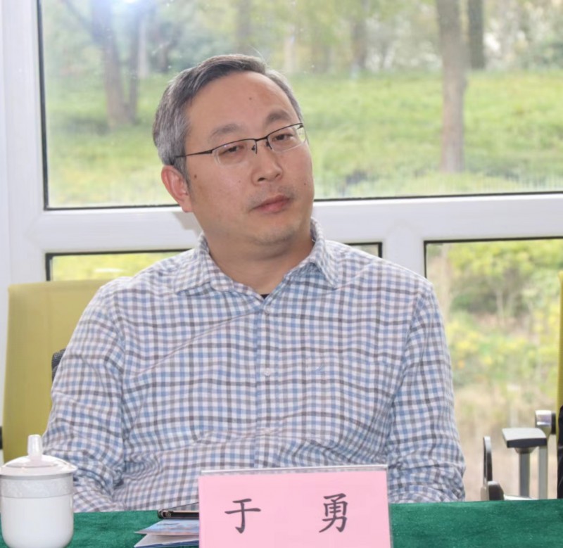 “一帶一路”文化藝術發展愿景專家座談會在上海新虹橋中國書法院舉行