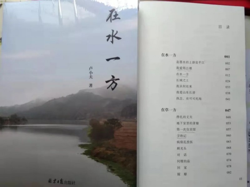 【視界晨報】王銀柱|在水一方 妙趣橫生