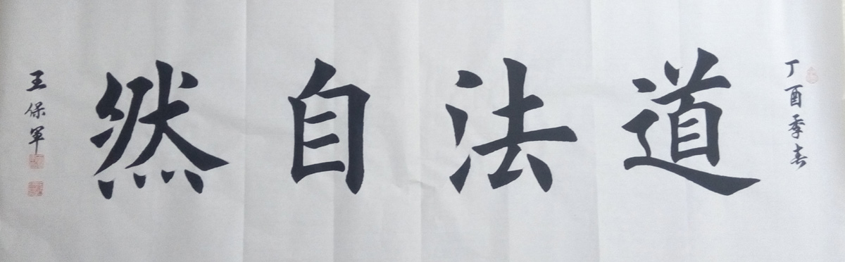 中國當代實力派書畫名家王保軍書法藝術欣賞