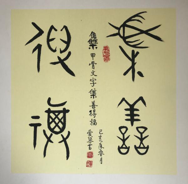 中國當代實力派書畫名家李愛琴書法藝術欣賞